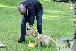 Welpen  24.05.2025 33